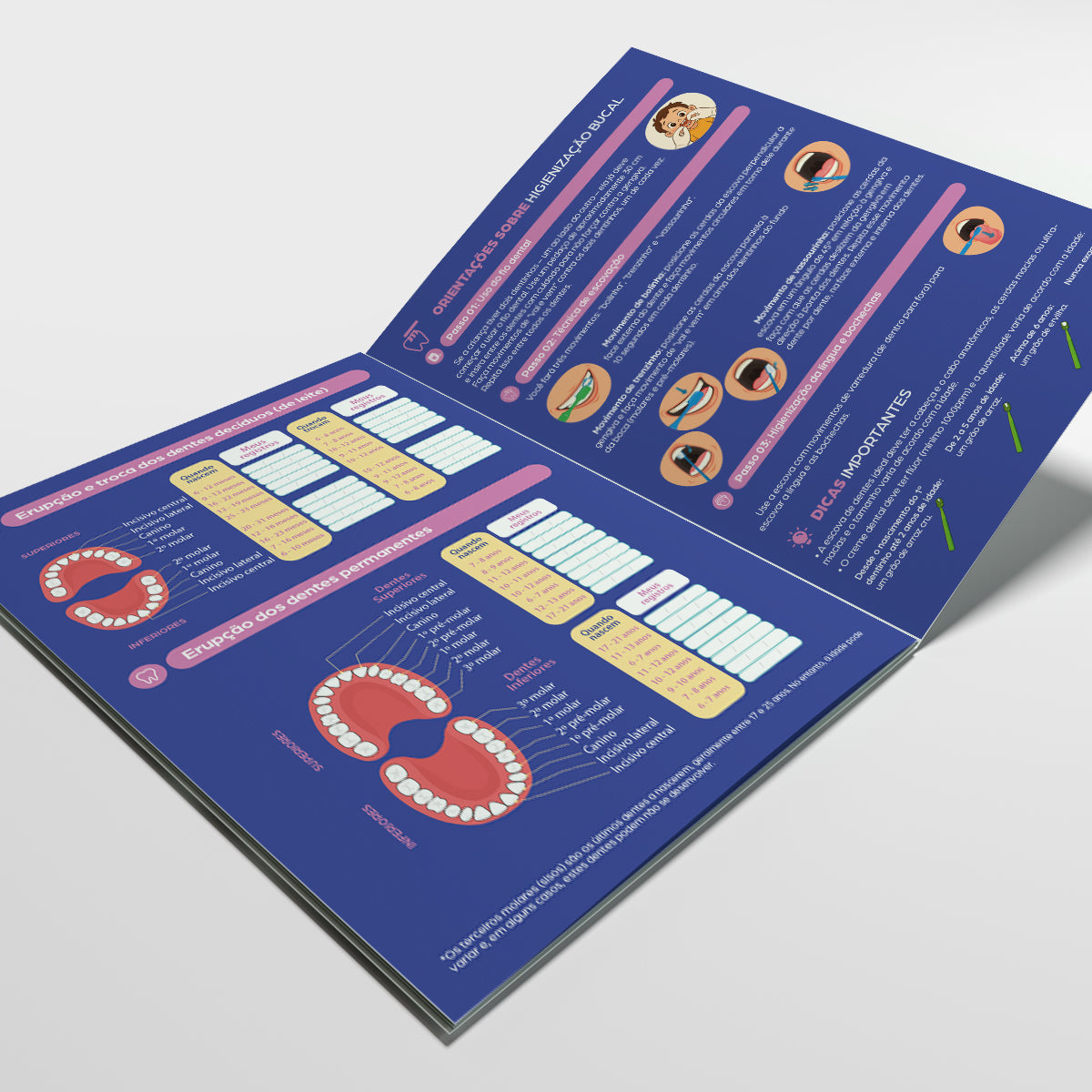 Carteira de Acompanhamento Odontológico 8 Páginas | Modelo 002