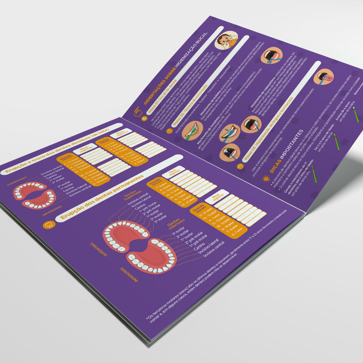 Carteira de Acompanhamento Odontológico 8 Páginas | Modelo 004