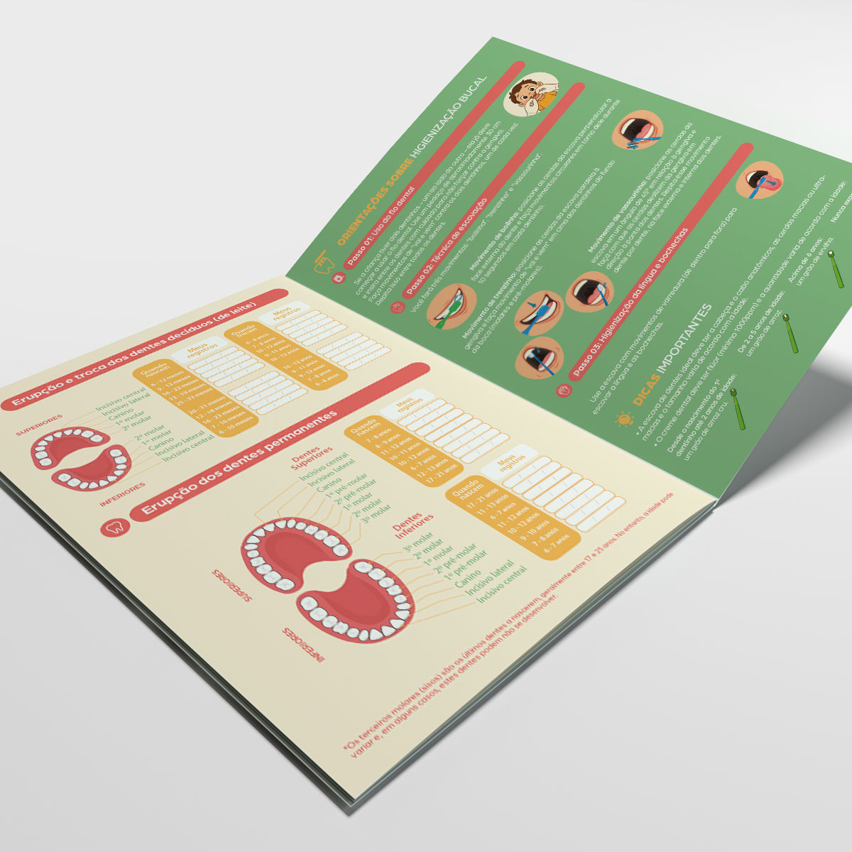 Carteira de Acompanhamento Odontológico 8 Páginas | Modelo 008